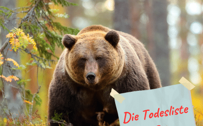Die Todesliste des Bären – eine Geschichte für bessere Kommunikation